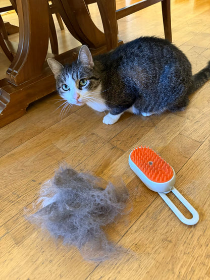 CalmCoat Steam Brush